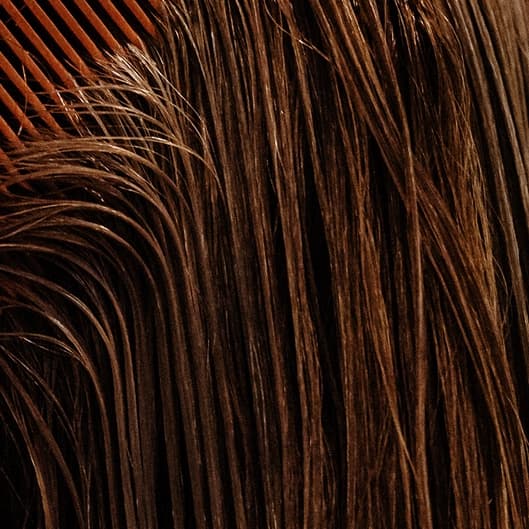 The Blowout Club pt 2 at Wild Strands Salon in Rigby, ID